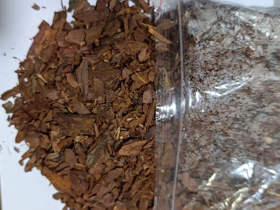 Кора лиственницы сибирской