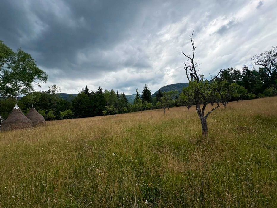 Teren de vanzare Campul lui Neag - Straja