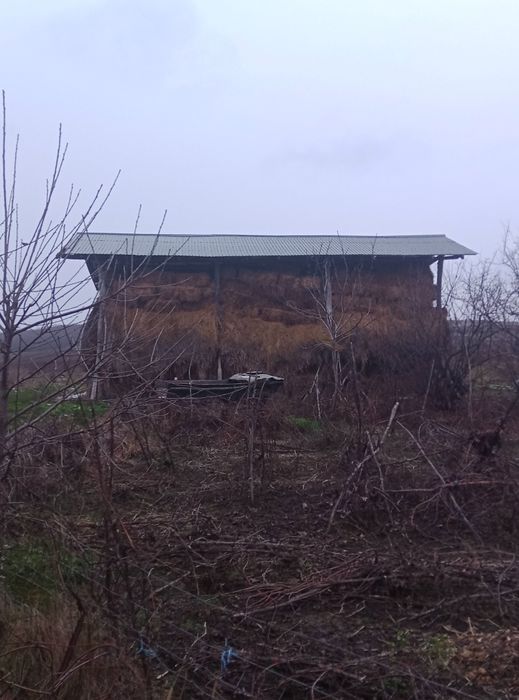 Baloți lucerna cu fân