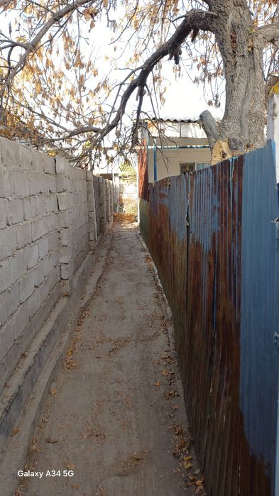 Уй сатылады Асықата