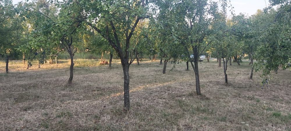 Vand teren intravilan+extravilan Cobia/Dambovita