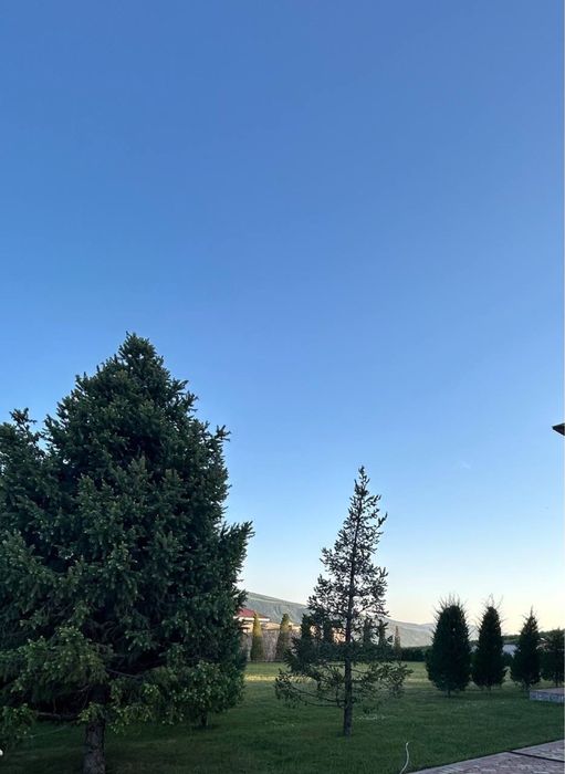 Дача 24 сотки Ходжикент