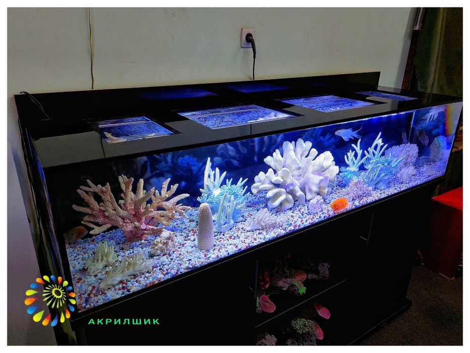 Аквариум  из акрила