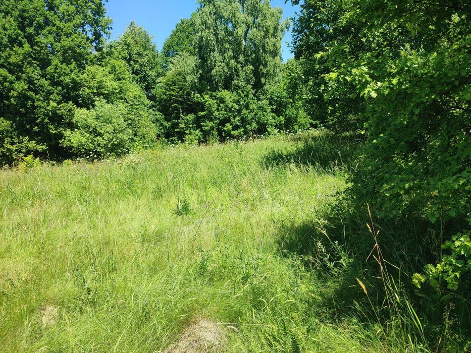 Vand teren Râșca judet Cluj Napoca