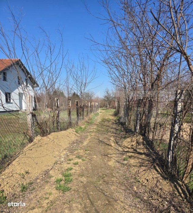Teren intravilan de vanzare, 1400 mp, zona Bercu Rosu