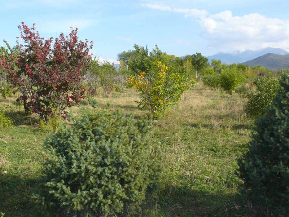 Продается дом с участком 3 гектара