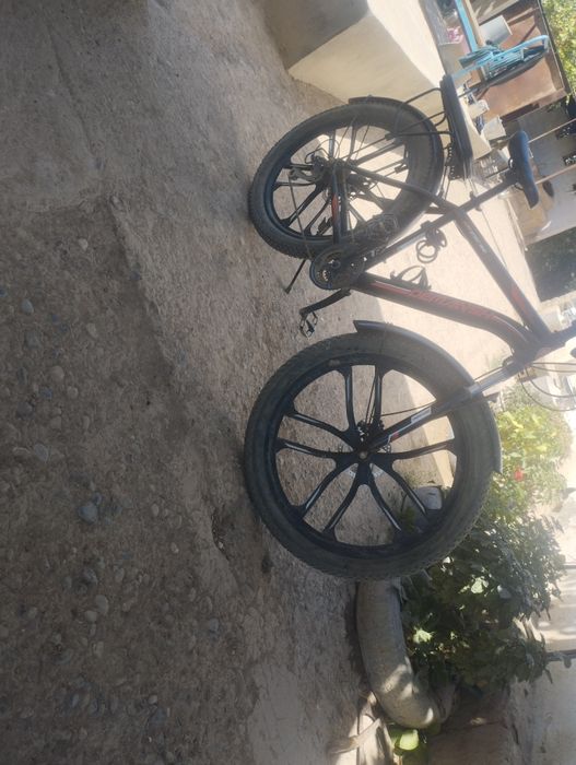 Velosiped kafolati bilan yangi