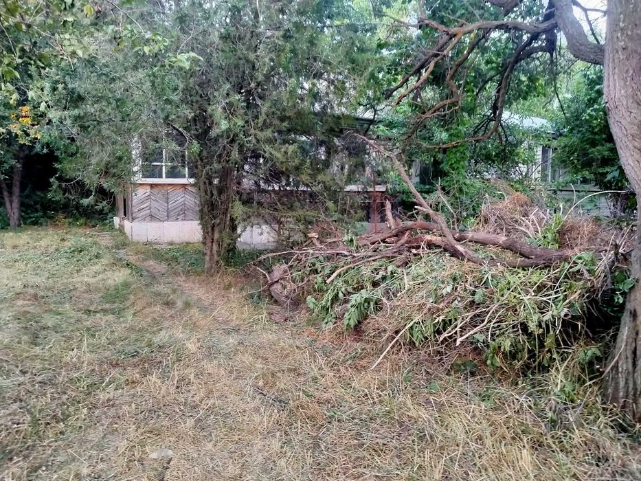 Дача 19 км, 6 соток