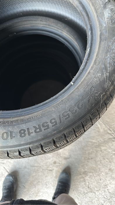 Кыстык донгелектер сатылады