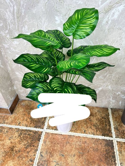 maktab uchun gullar skidkada