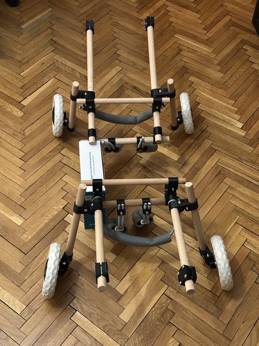 Carucior catei paraplegici