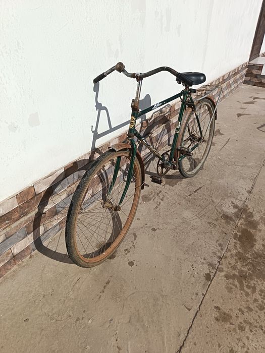 Velosiped kattalar uchun