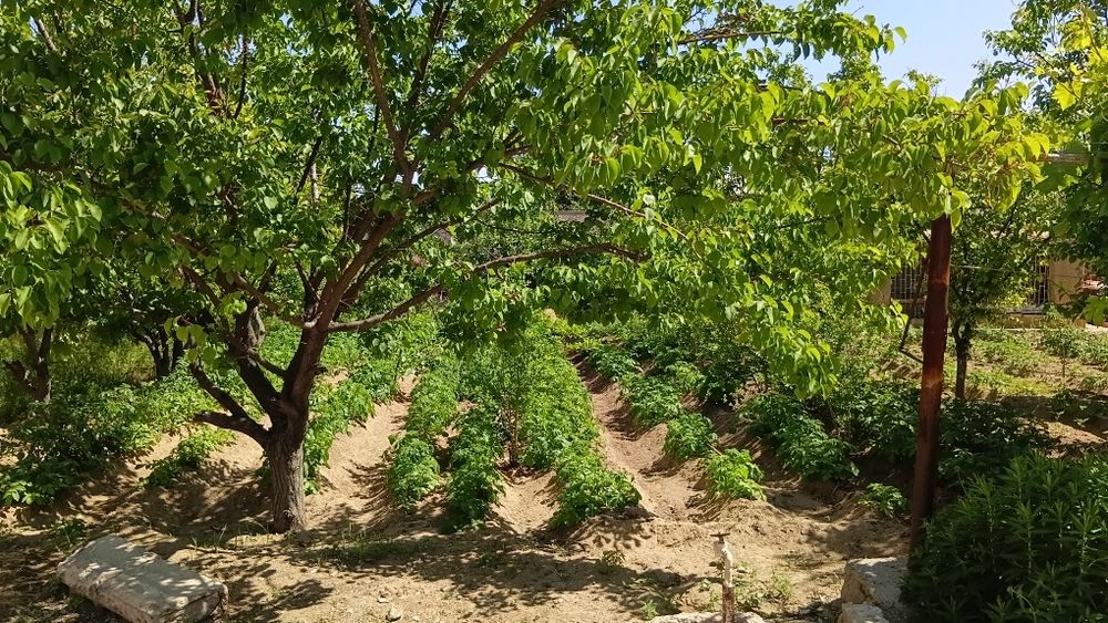 Zarafshon shahrida Miraj 2 da hovli sotiladi