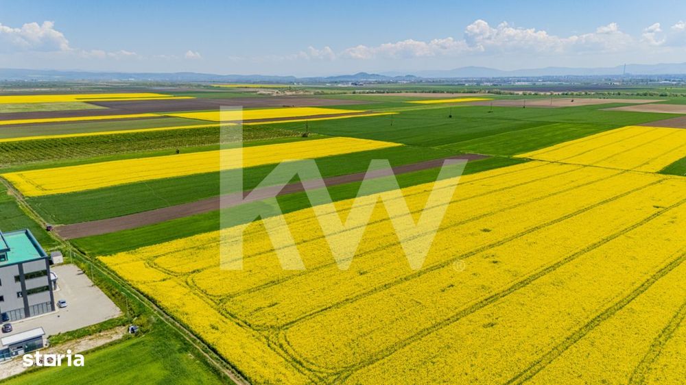 Teren 10.600 mp in Codlea – ideal pentru investitie industriala
