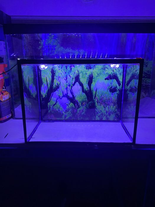 mijoz xoxlagan dizayn ulcamda buyurtmalar qabul qilamz nasiya savdobor