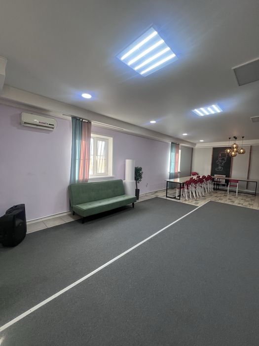 Действующий бизнес (студия, аниматоры)