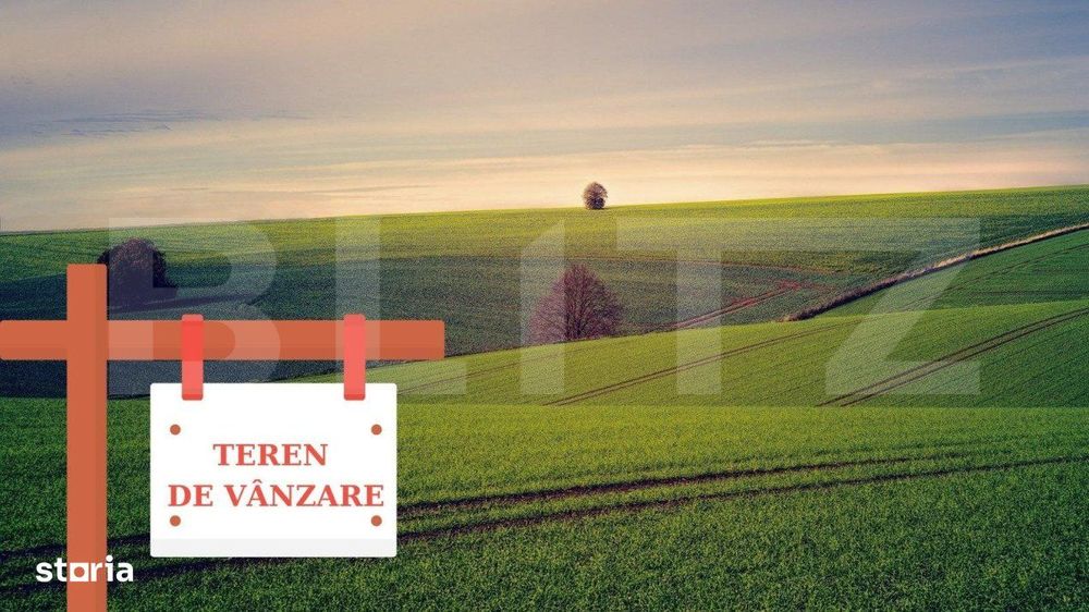 Teren extravilan, 125000 mp, Timis!