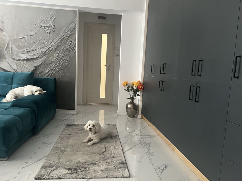 Bucuresti Basarabia  2 semidecomandate 132500 euro