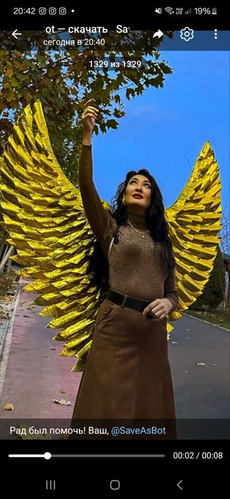 Изготовим на  крылья золото.