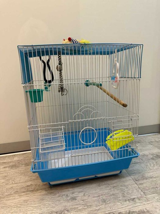 Клетка для попугая