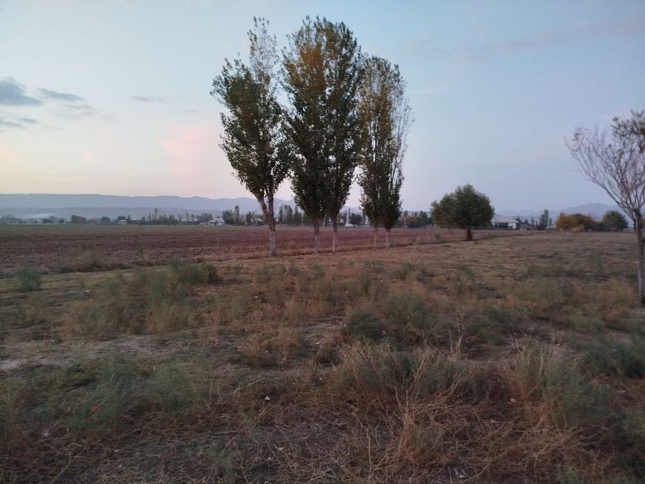 Toza yer joyi tomorqa