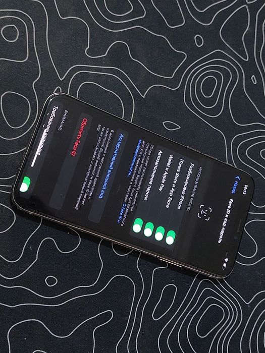 iPhone X 256gb 100%