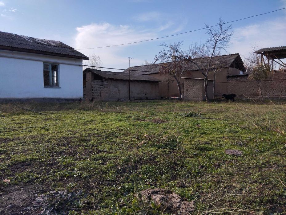 Авангард двадцать летда ховли сотилади. Avangard. Food City.