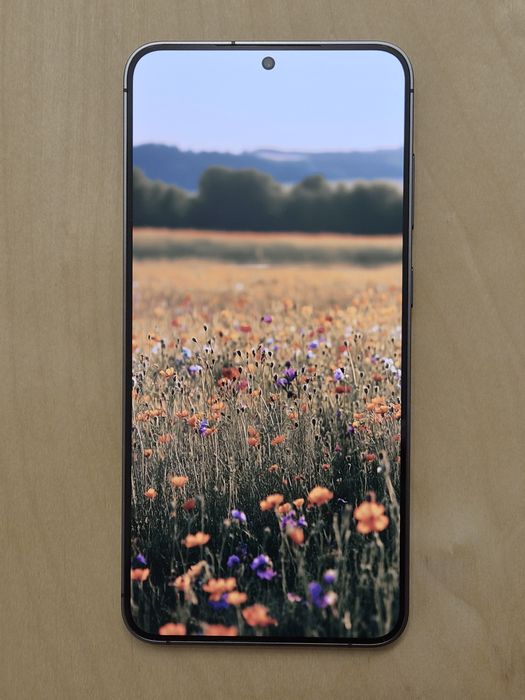 Samsung Galaxy S24+ (512 гб)