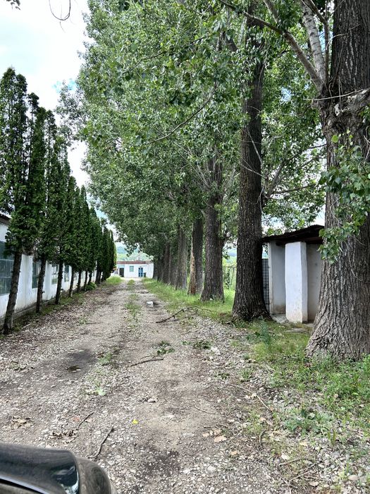 Închiriez proprietate industrială – Hală 2.500 mp + teren 6.100 mp – Satuc, Berca, jud. Buzău