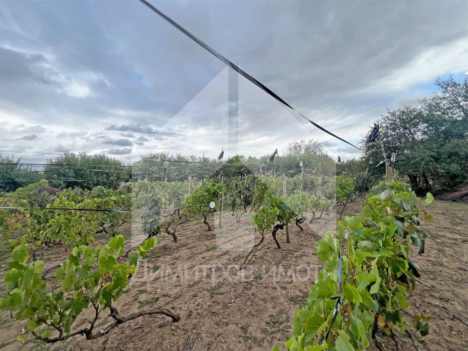 Продава се Къща в с. Мировци, Област Шумен - 88 кв.м за 546 €/кв.м - Снимка #22