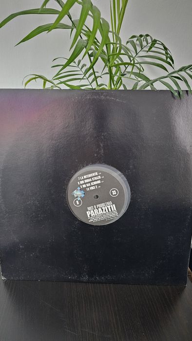Album Vinyl PARAZIȚII, "Nici o problema"