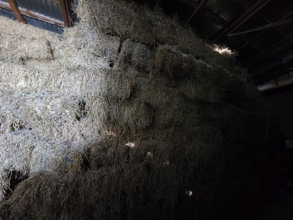 Baloți lucerna, calitate foarte buna