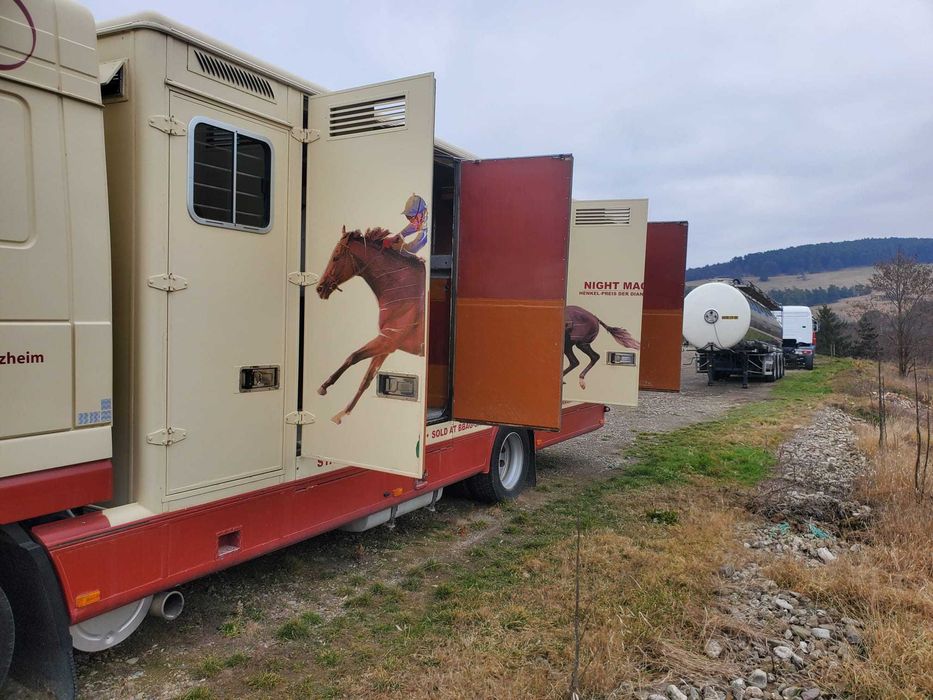 DAF AF95XF  transport cai