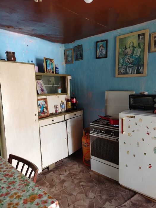 Proprietate cu 2 case și teren generos de 2900 mp