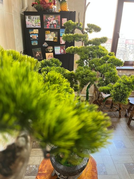 Бонсай искусственное дерево