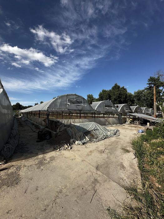 Yer sotiladi xasanboyda