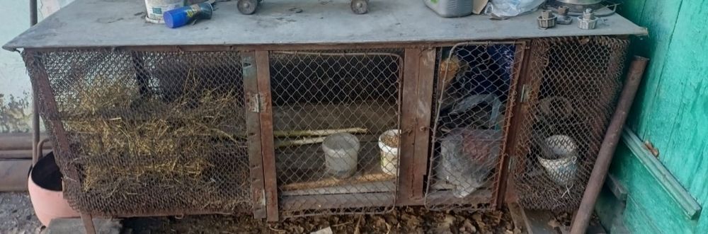 Продам клетку для кроликов