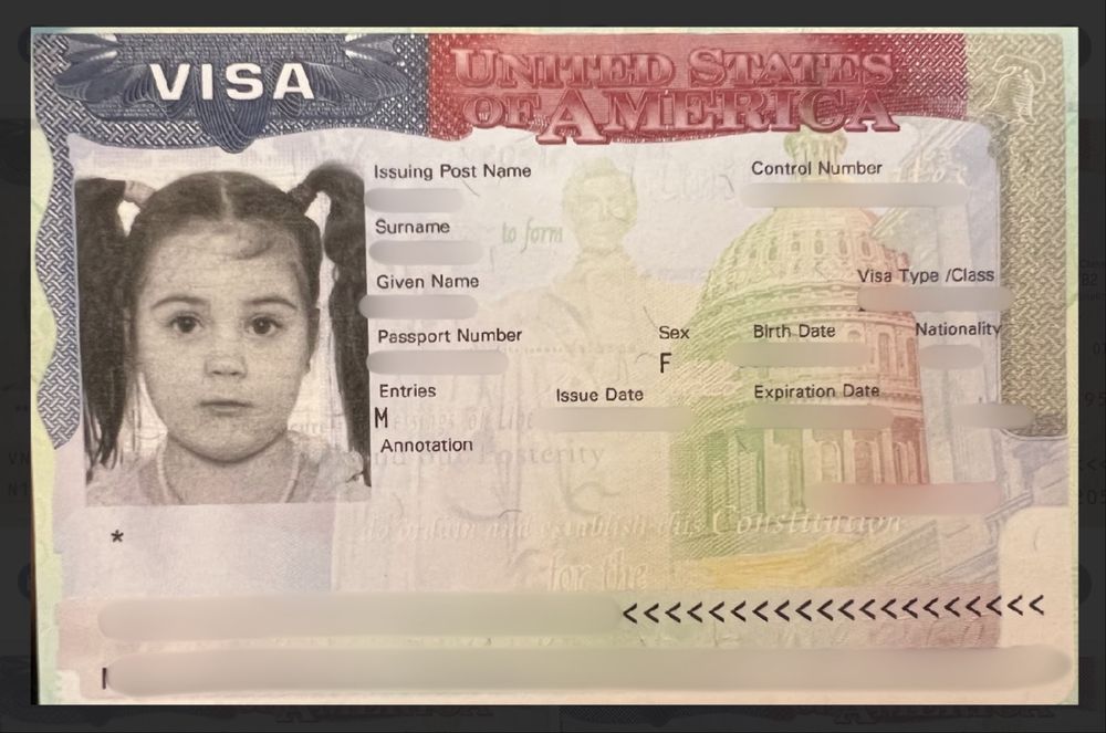 Виза США В1 В2 , F1