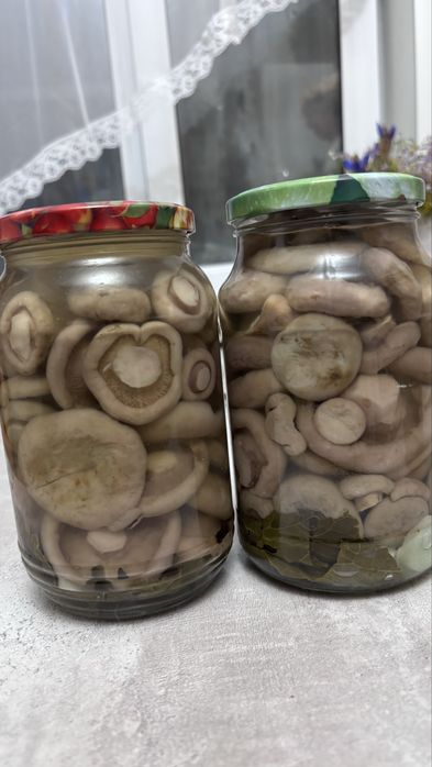 Продам грибы соленые