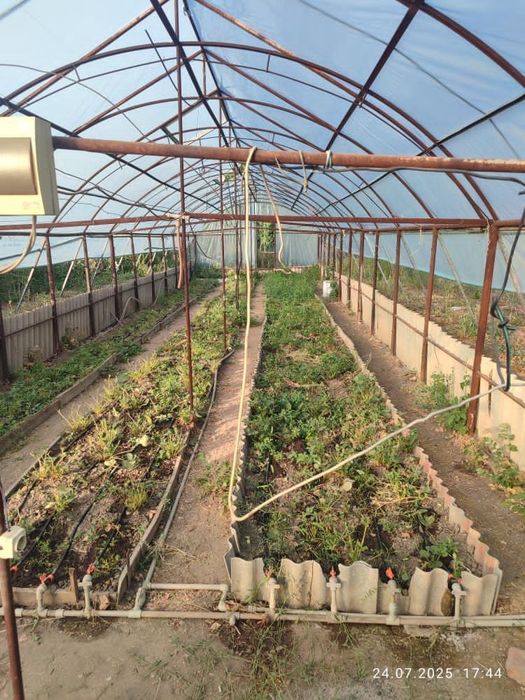 Продам Теплый Дом с большим участком в Балтабае