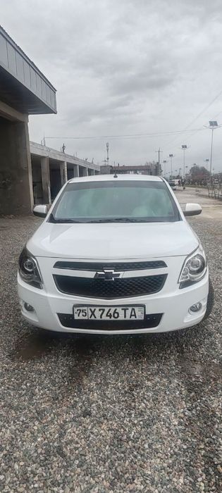 Kobalt 2022 4 pozitsya