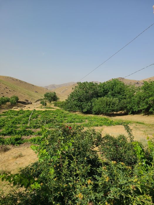 Дача участок ситилади