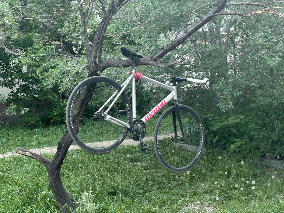 fixed gear фикс unknown