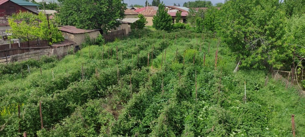 Загородный Дом_Дача
