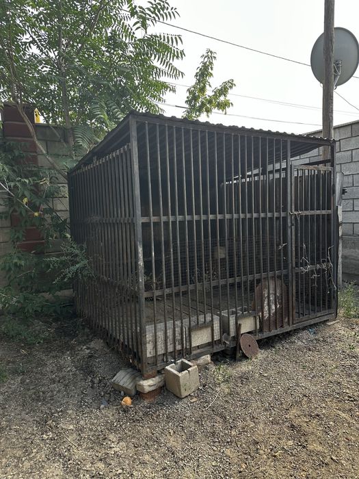 вольер для собак