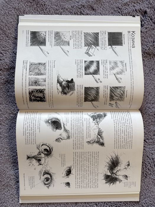 Изкуството да рисуваш животни, книга