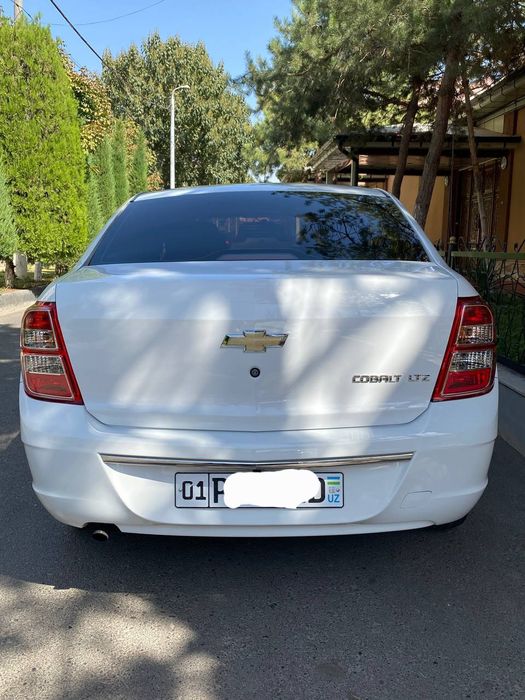 Kobalt avtomat 2023 arendaga beriladi