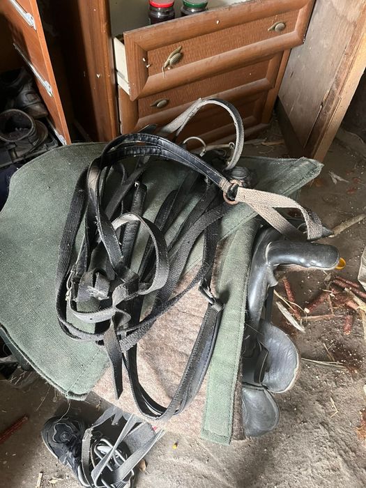 Седло в хорошем состоянии