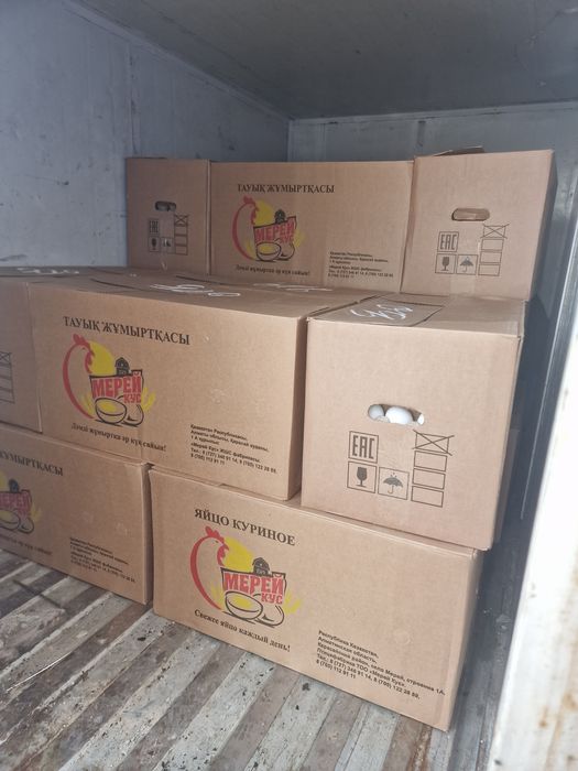 Яйцо куриное алматы