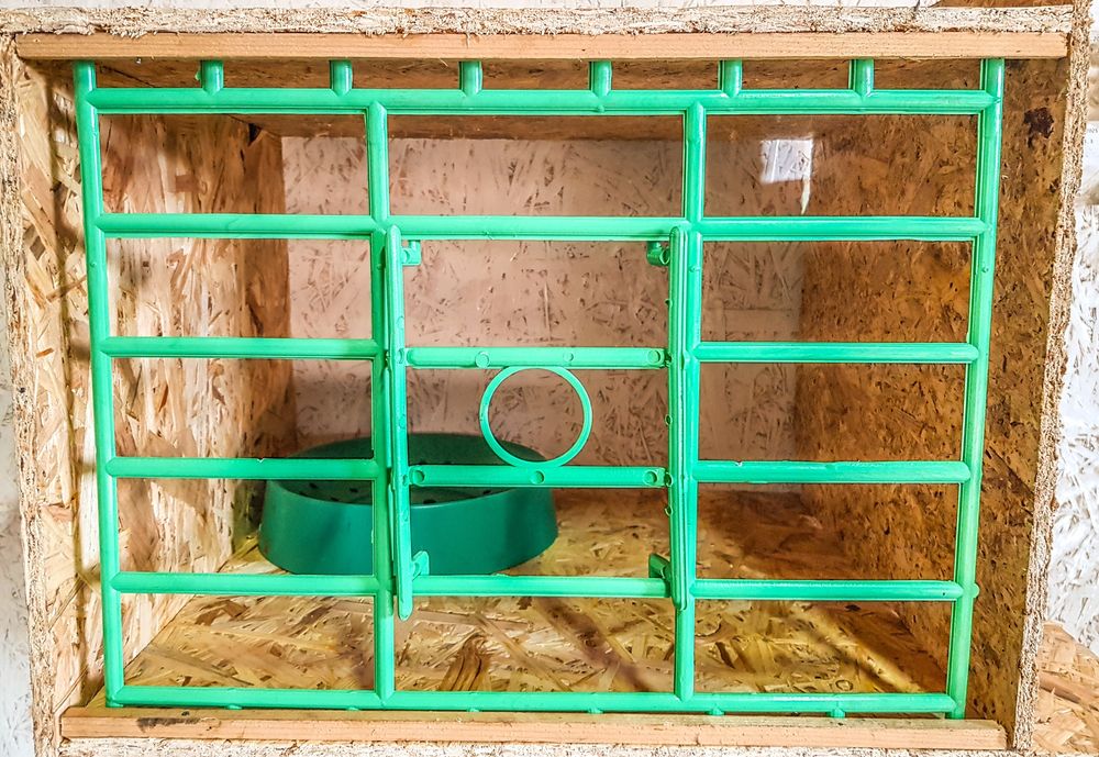 Fata boxa fixa porumbei 40x30 cm